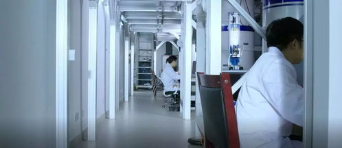 創新驅動，服務升級 本源量子計算機制造廠信息技術咨詢服務再上新臺階